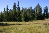 Sentiers didactiques